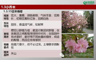 绿城集团园林软景苗木图谱 全套