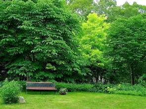 沭阳县茂叶苗木园艺场公司介绍