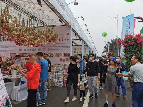 不仅是产品，更是理念和模式的对接——中国中山花木产业大会在横栏举办